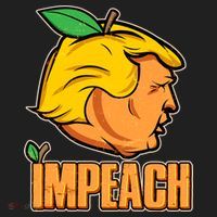 Impeach Trump Anti Trump Impeachment Tumbler thumb 3