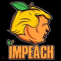 Impeach Trump Anti Trump Impeachment Ornament thumb 1