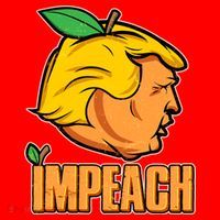 Impeach Trump Anti Trump Impeachment Santa Hat thumb 1