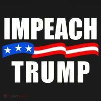Impeach Trump Resist Anti Trump Ornament thumb 1