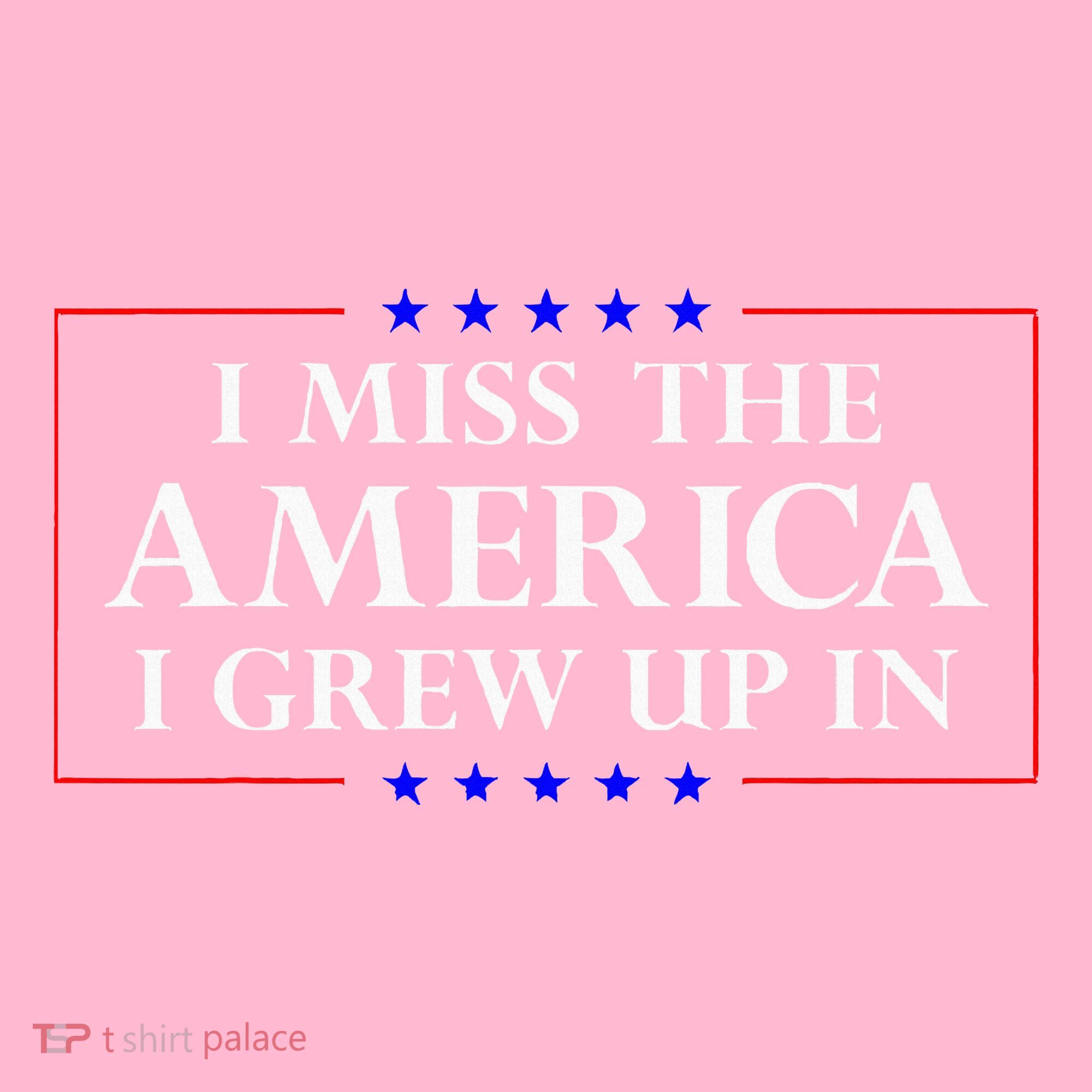 I Miss The America I Grew Up In American Flag T-Shirt
