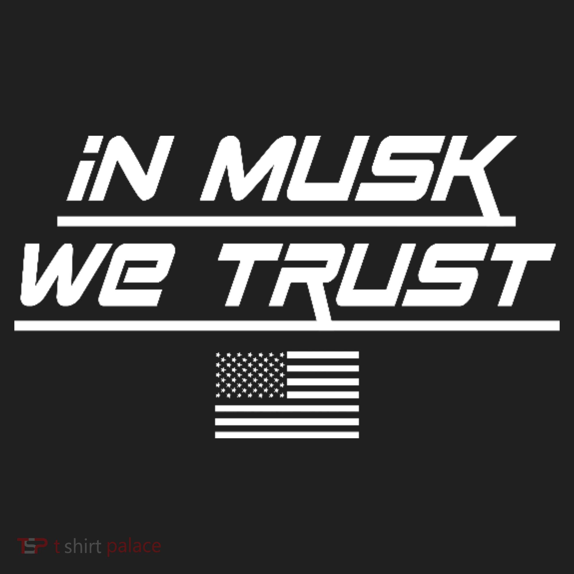 In Musk We Trust USA Flag Elon Funny Hat