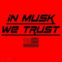 In Musk We Trust USA Flag Elon Funny Santa Hat thumb 1