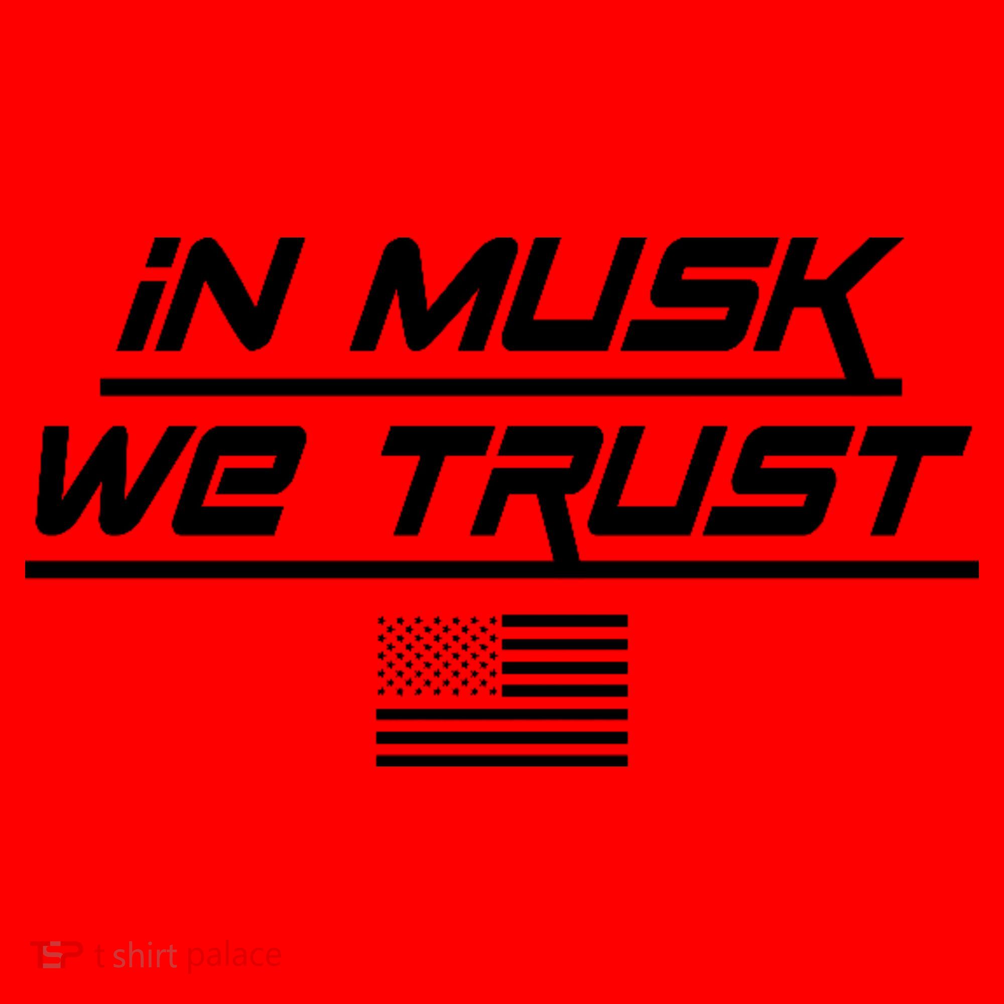 In Musk We Trust USA Flag Elon Funny Santa Hat