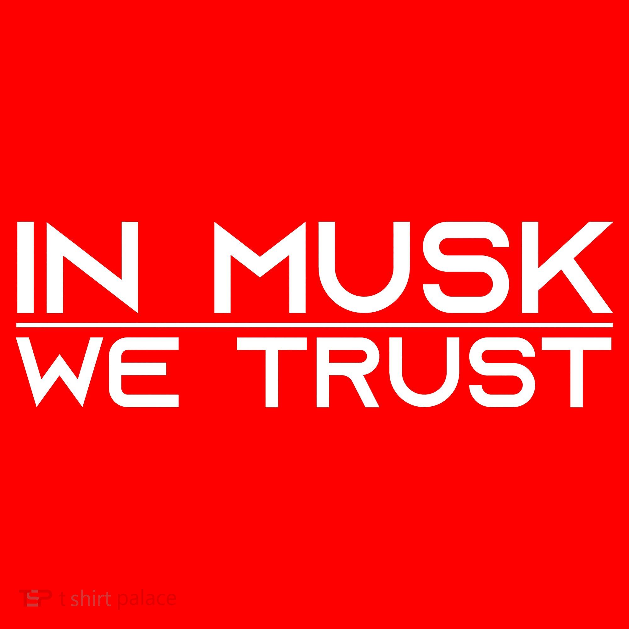 In Musk We Trusk Funny Elon Musk Tribute Fan Santa Hat