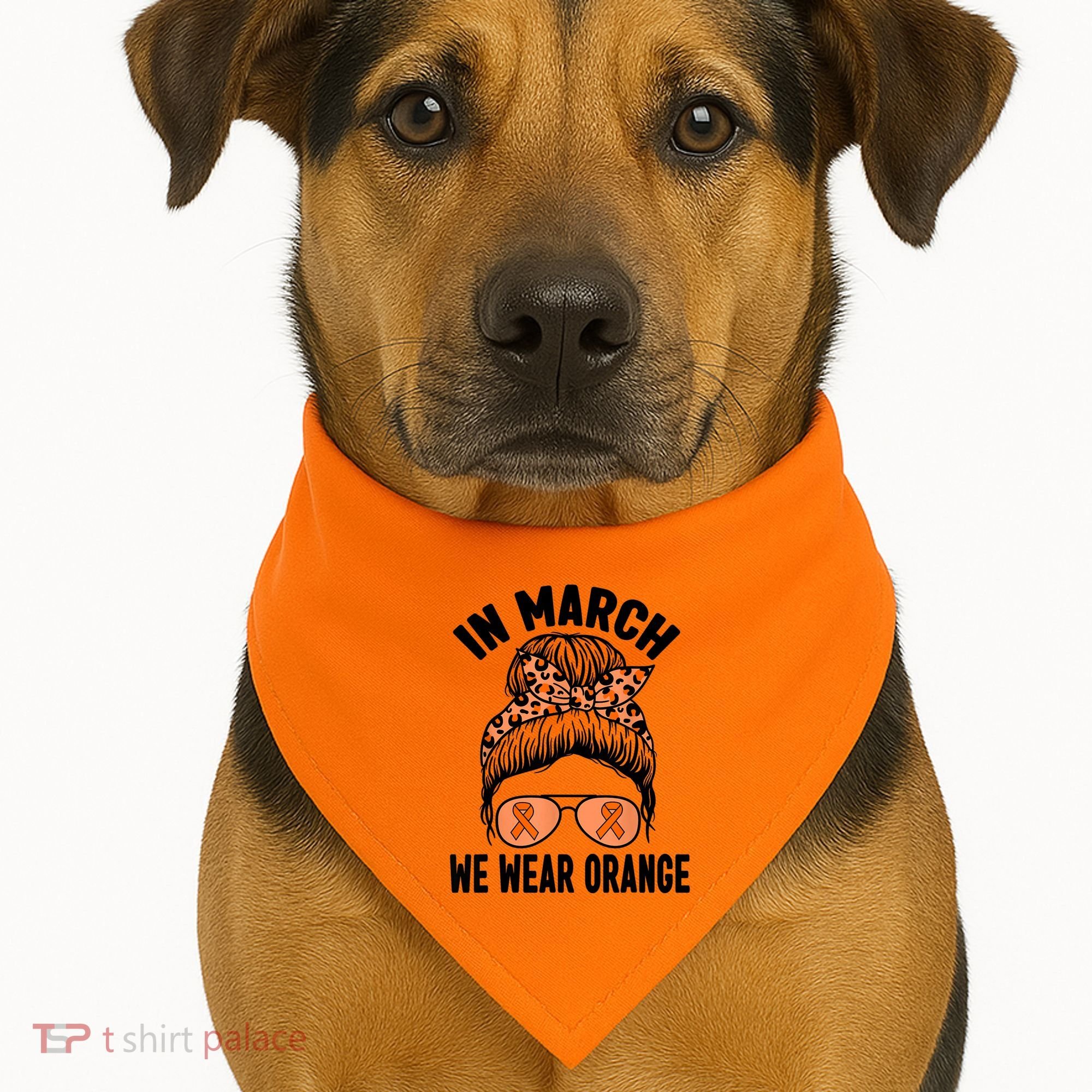 In March We Wear Orange MS Multiple Sclerosis USA-Made Doggie Bandana