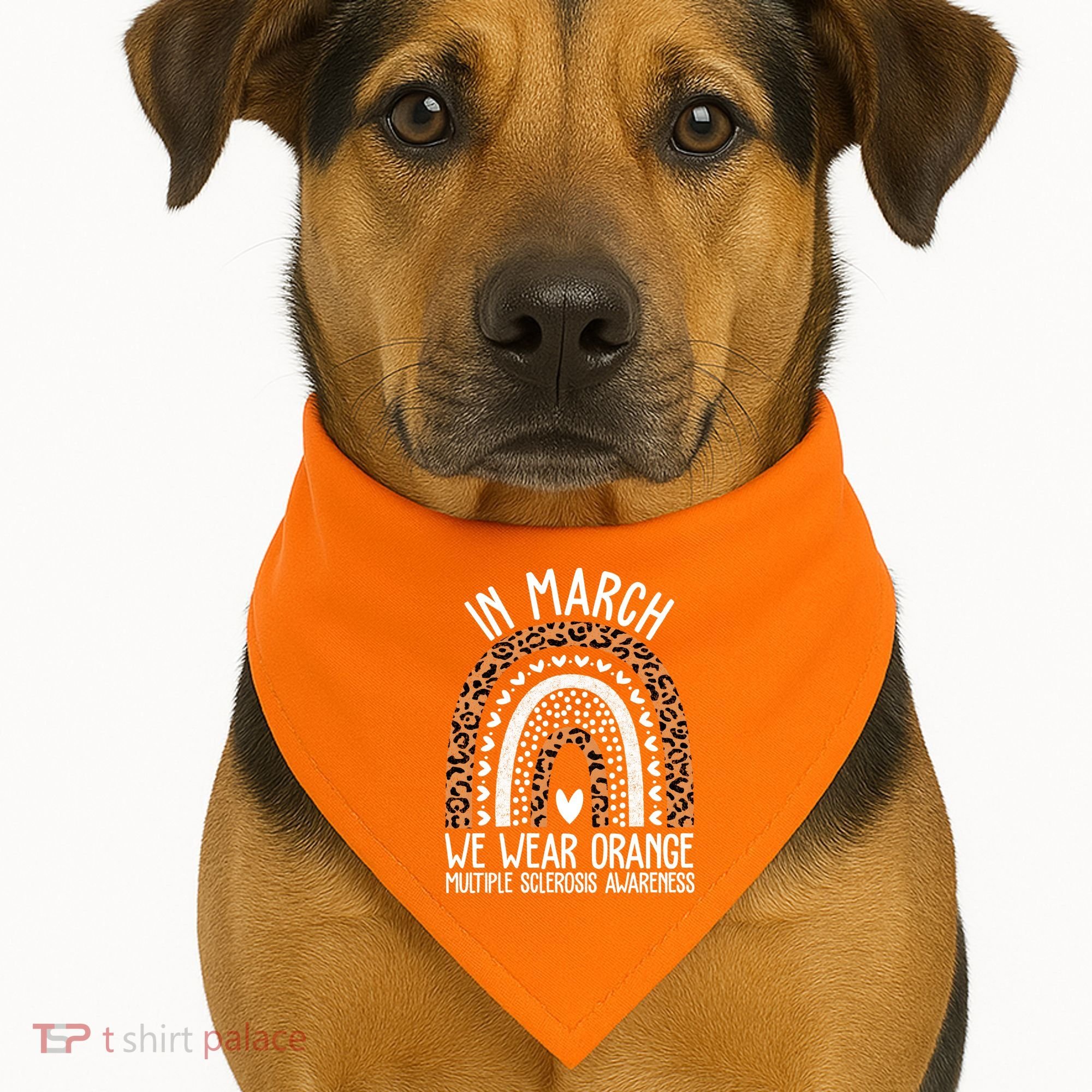 In March We Wear Orange Multiple Sclerosis Awareness Rainbow USA-Made Doggie Bandana