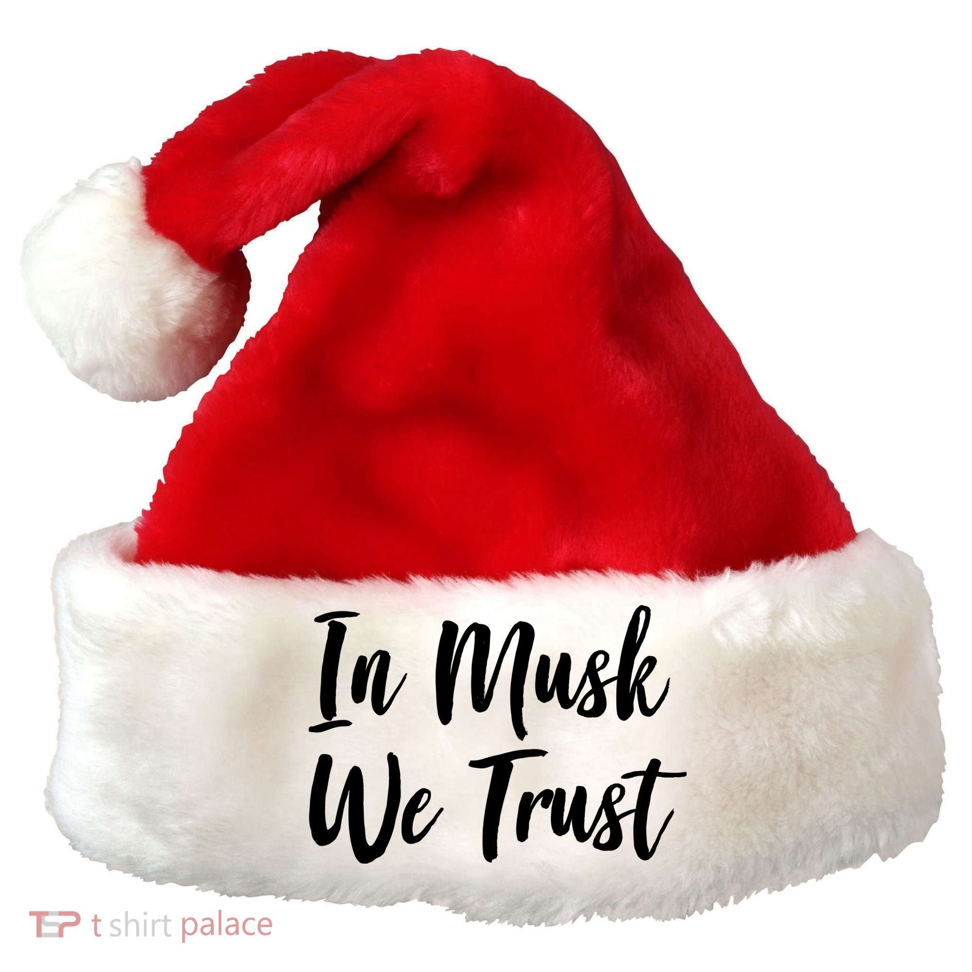 In Musk We Trust Elon Santa Hat
