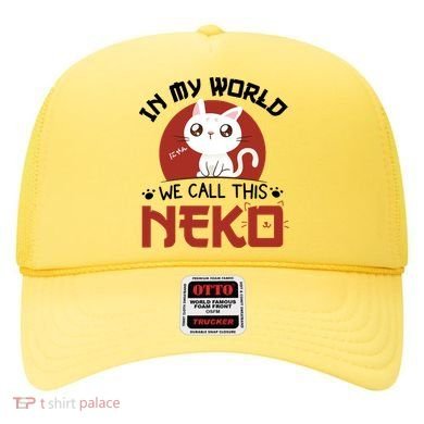 In My World We Call This Neko Hat