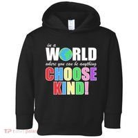 In a World Where You Can Be Anything Choose Kind Toddler Hoodie thumb 0