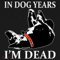 In Dog Years I'm Dead Funny Birthday Sweatshirt thumb 3