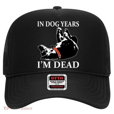 In Dog Years I'm Dead Funny Birthday Hat