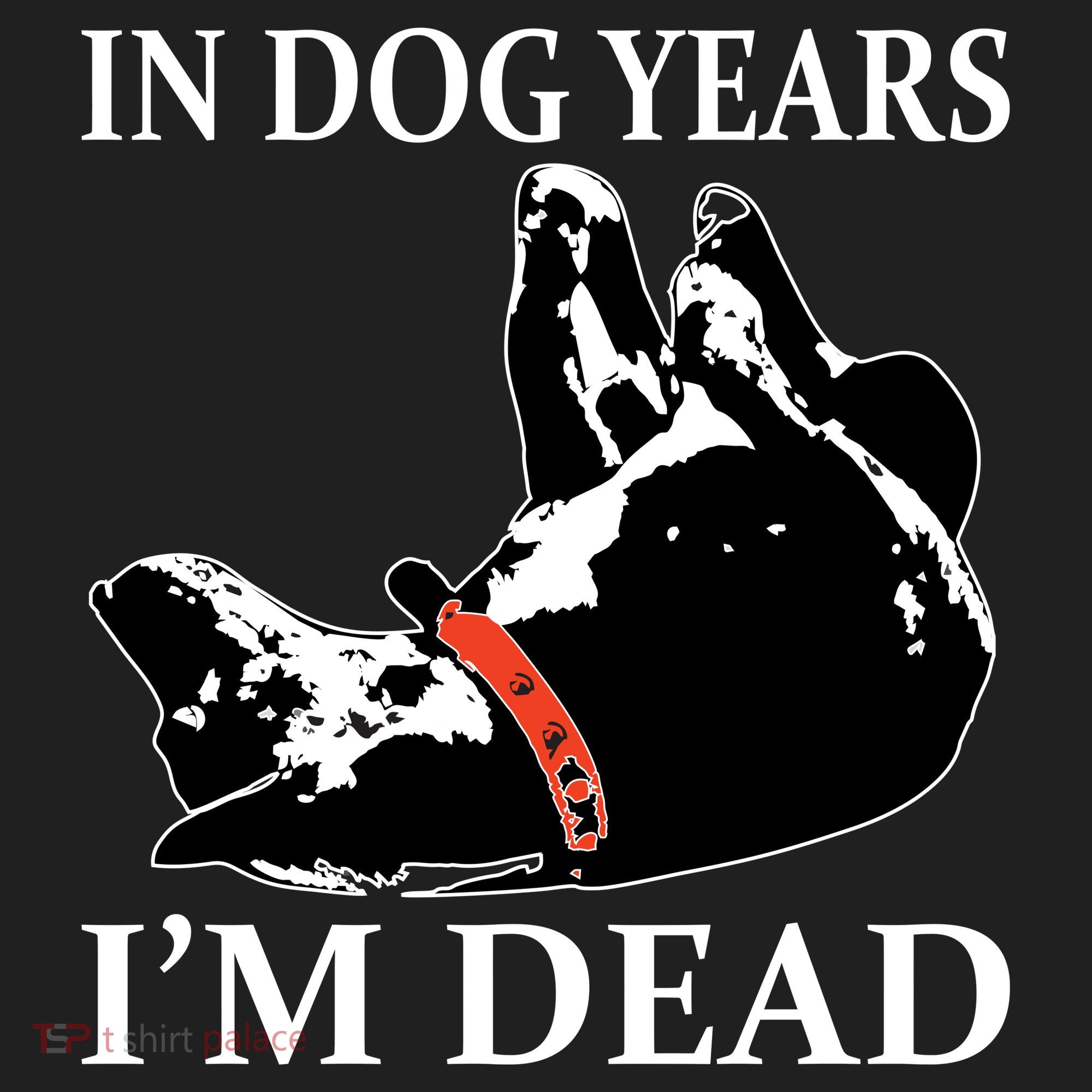 In Dog Years I'm Dead Funny Birthday Hat