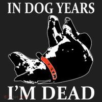 In Dog Years I'm Dead Funny Birthday Golf Towel thumb 3