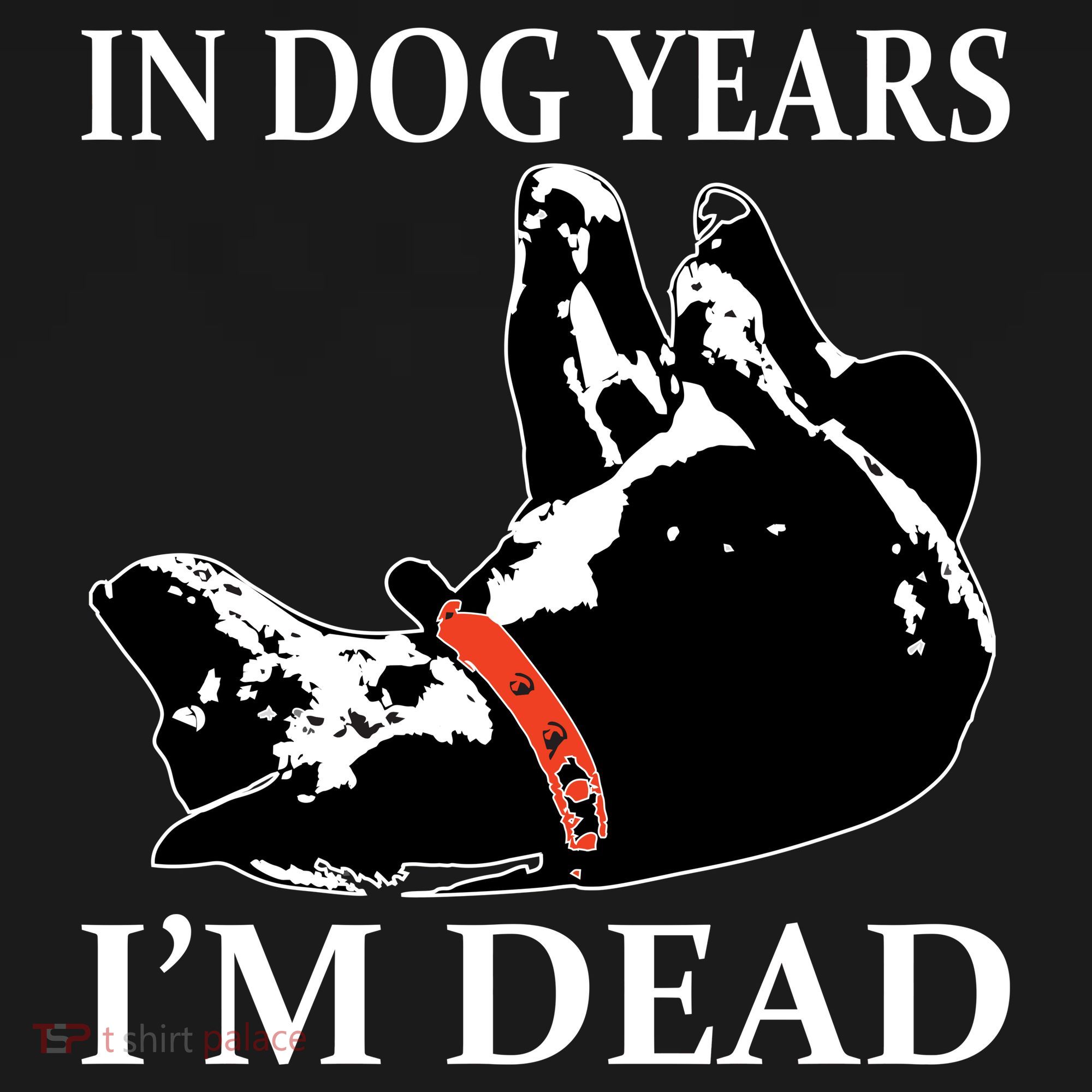 In Dog Years I'm Dead Funny Birthday Visor