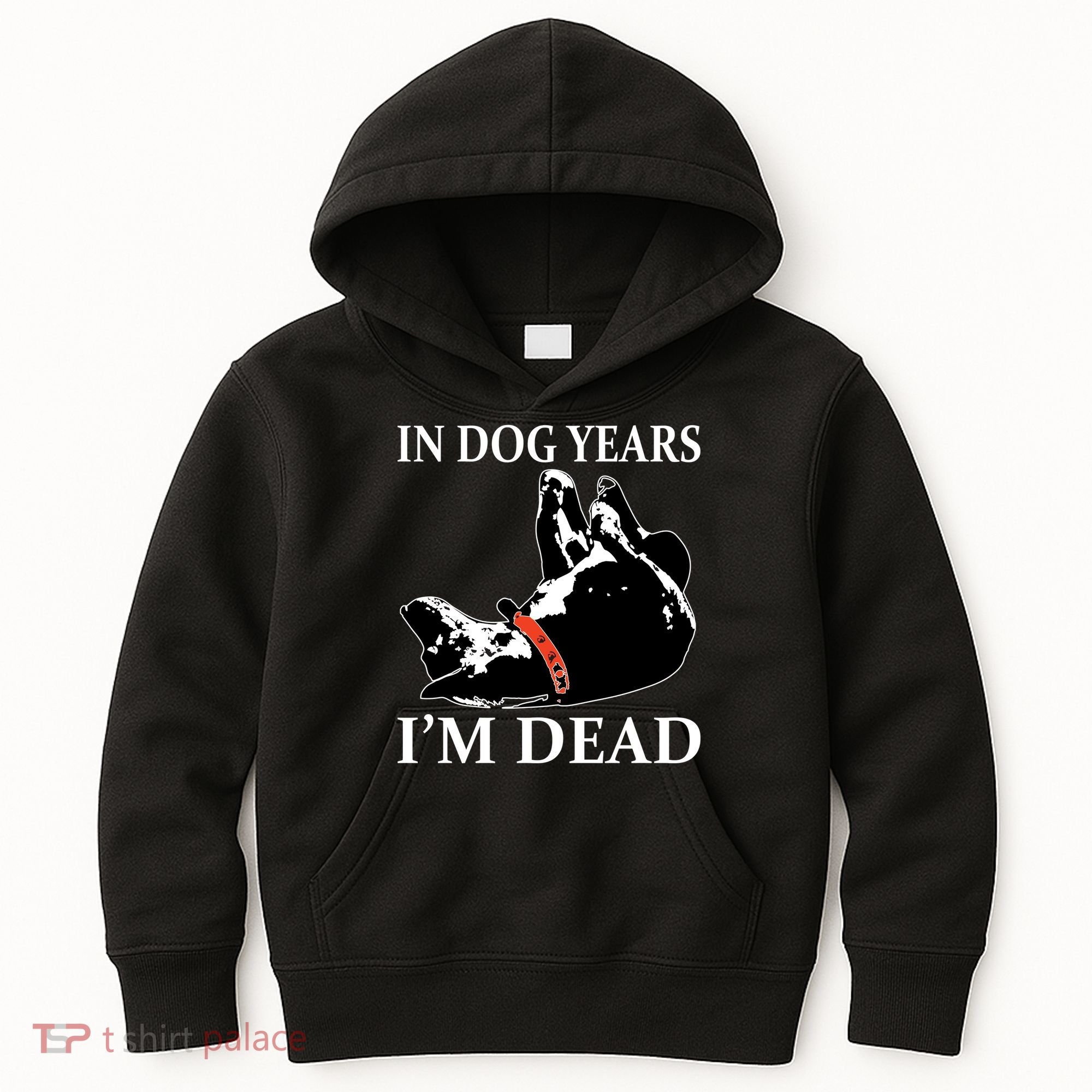 In Dog Years I'm Dead Funny Birthday Kids Hoodie