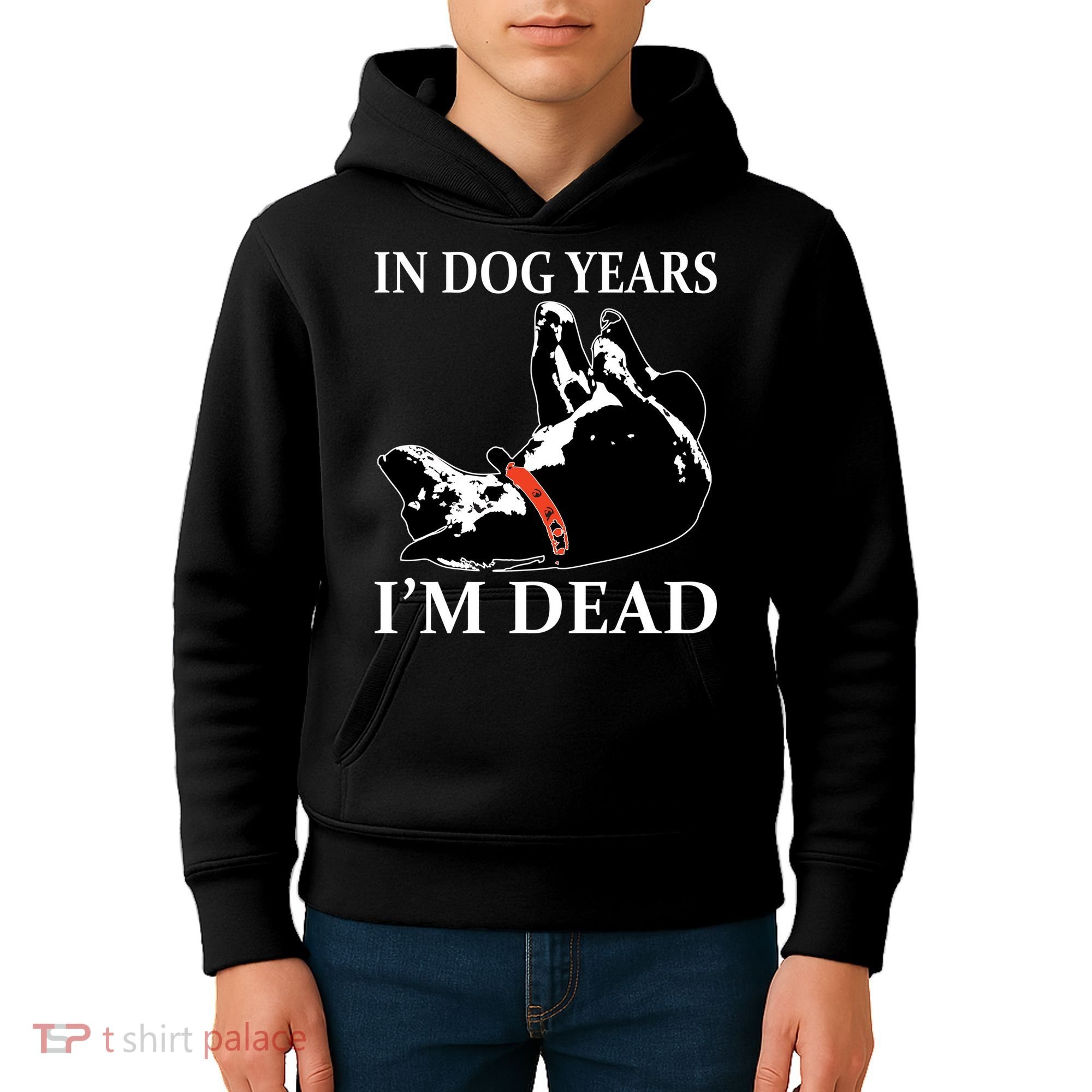 In Dog Years I'm Dead Funny Birthday Kids Hoodie