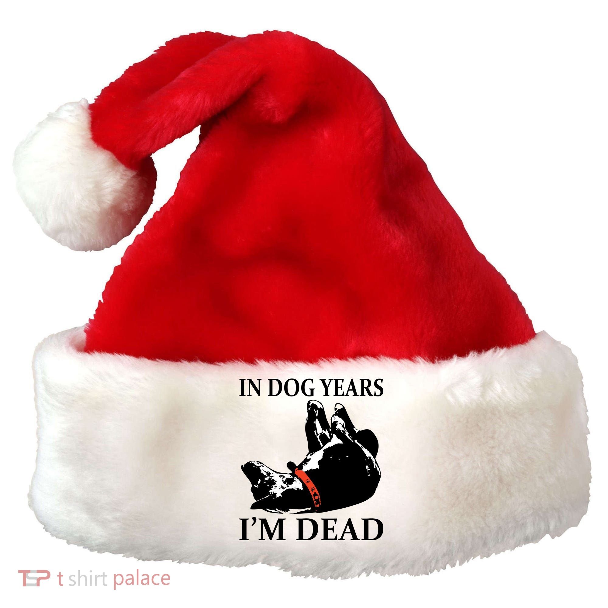 In Dog Years I'm Dead Funny Birthday Santa Hat