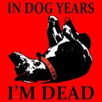 In Dog Years I'm Dead Funny Birthday Santa Hat thumb 1