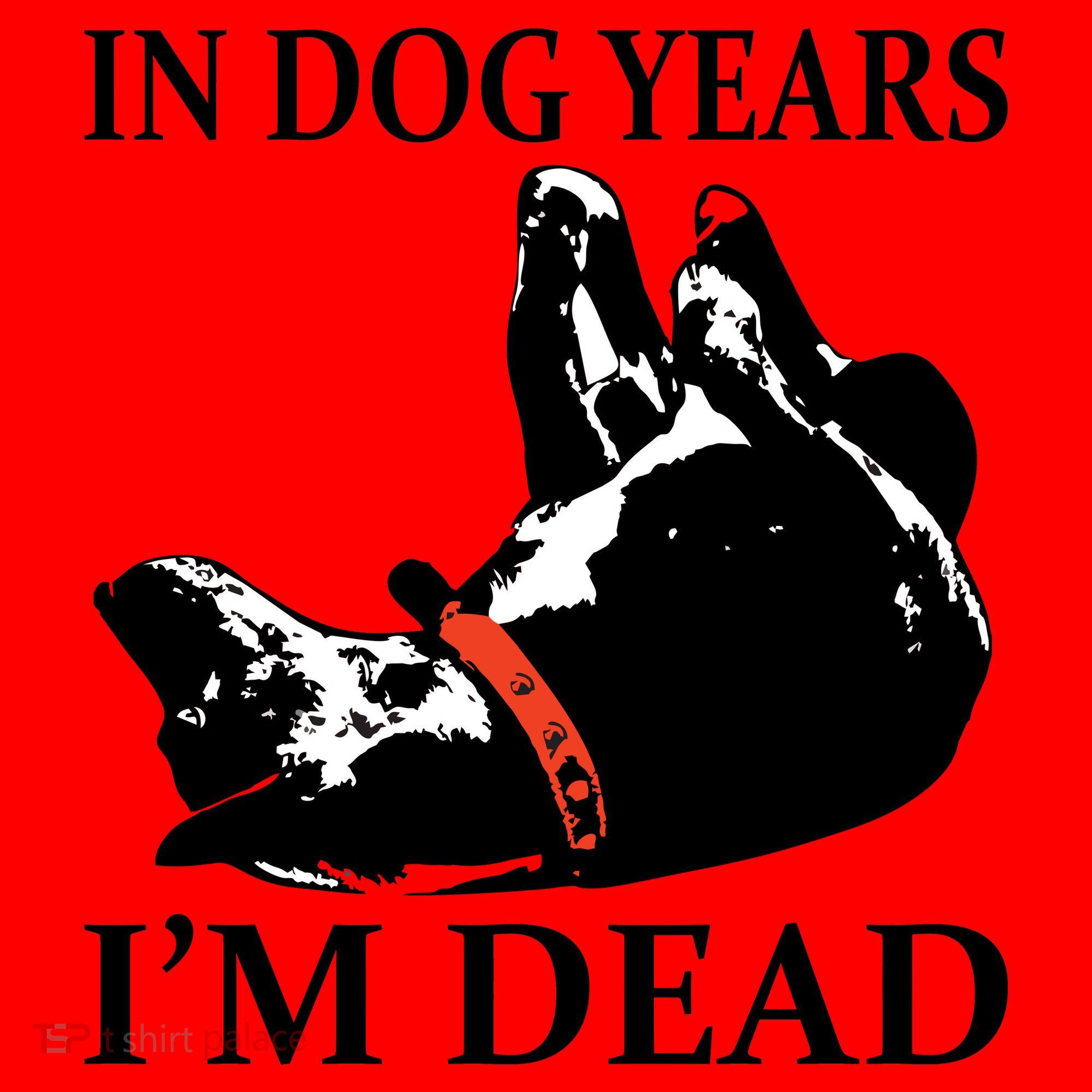 In Dog Years I'm Dead Funny Birthday Santa Hat