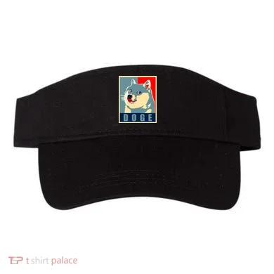 Visor