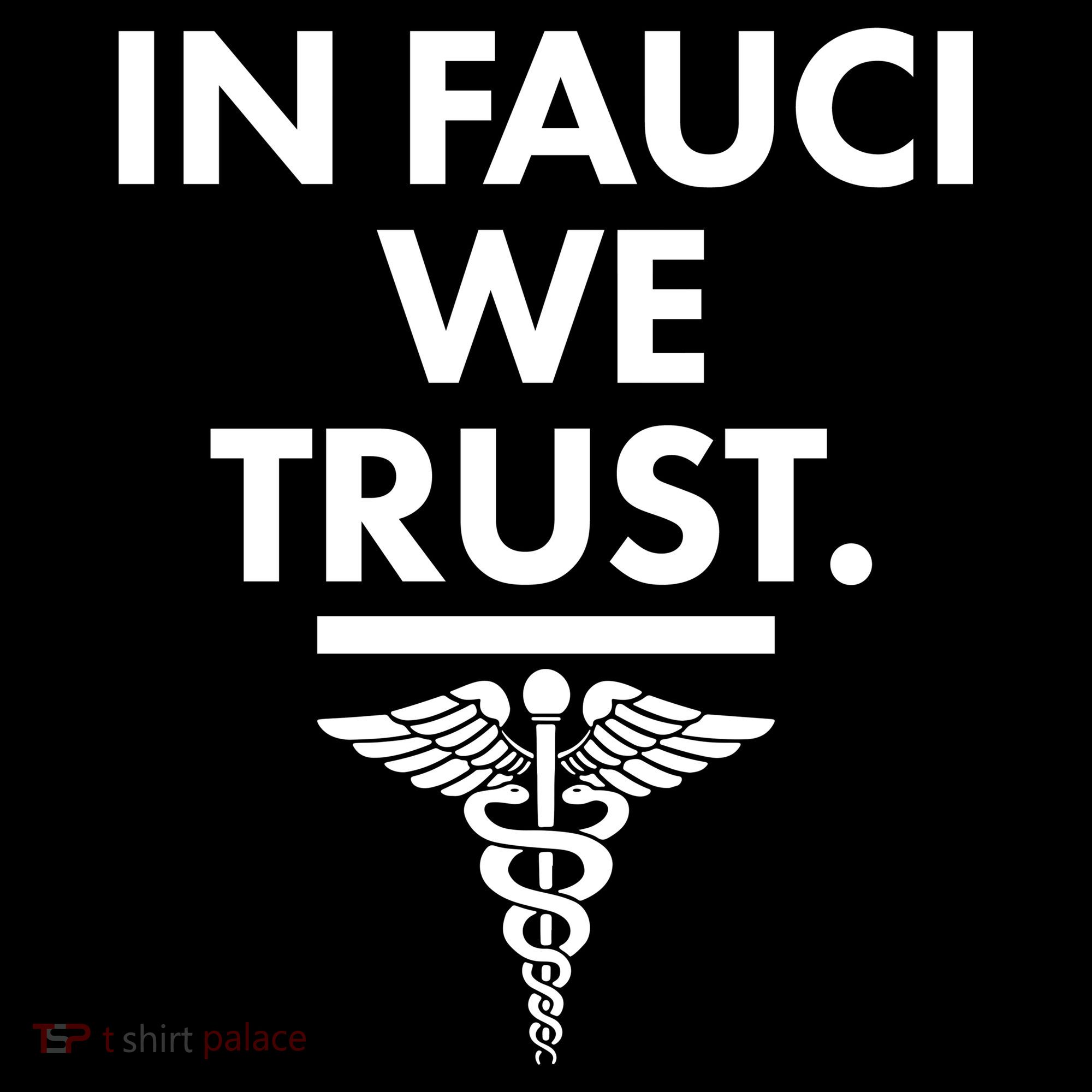 In Dr Fauci We Trust Ornament