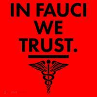 In Dr Fauci We Trust Santa Hat thumb 1
