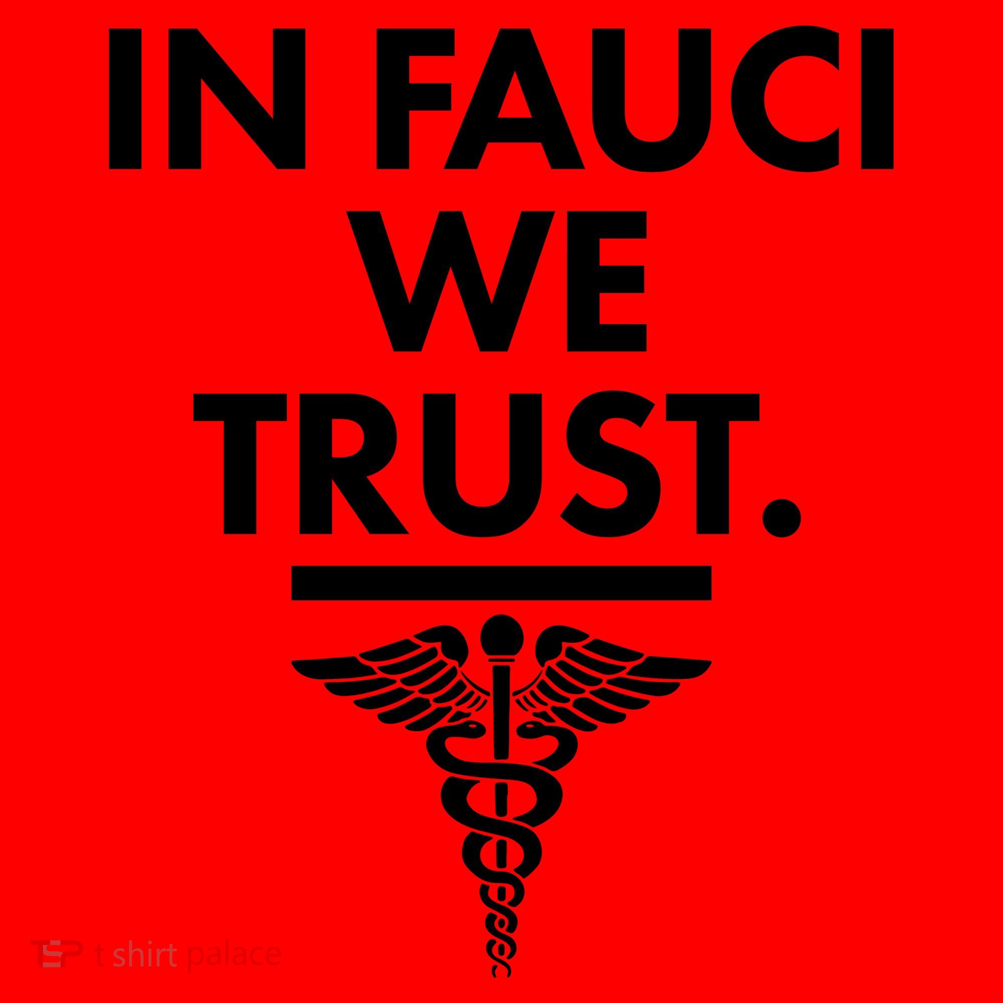 In Dr Fauci We Trust Santa Hat