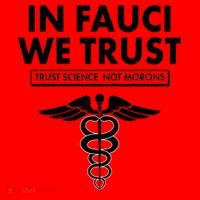 In Fauci We Trust -Trust Science Not Morons  Santa Hat thumb 1