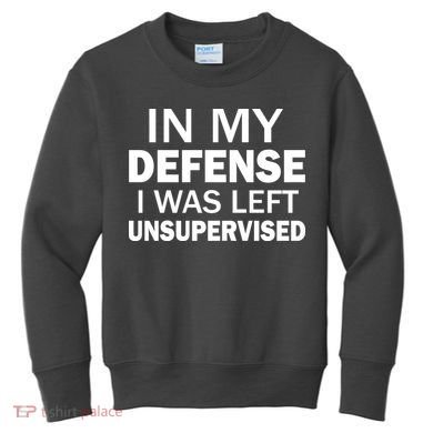 In My Defense I Was Left Unsupervised Kids Sweatshirt