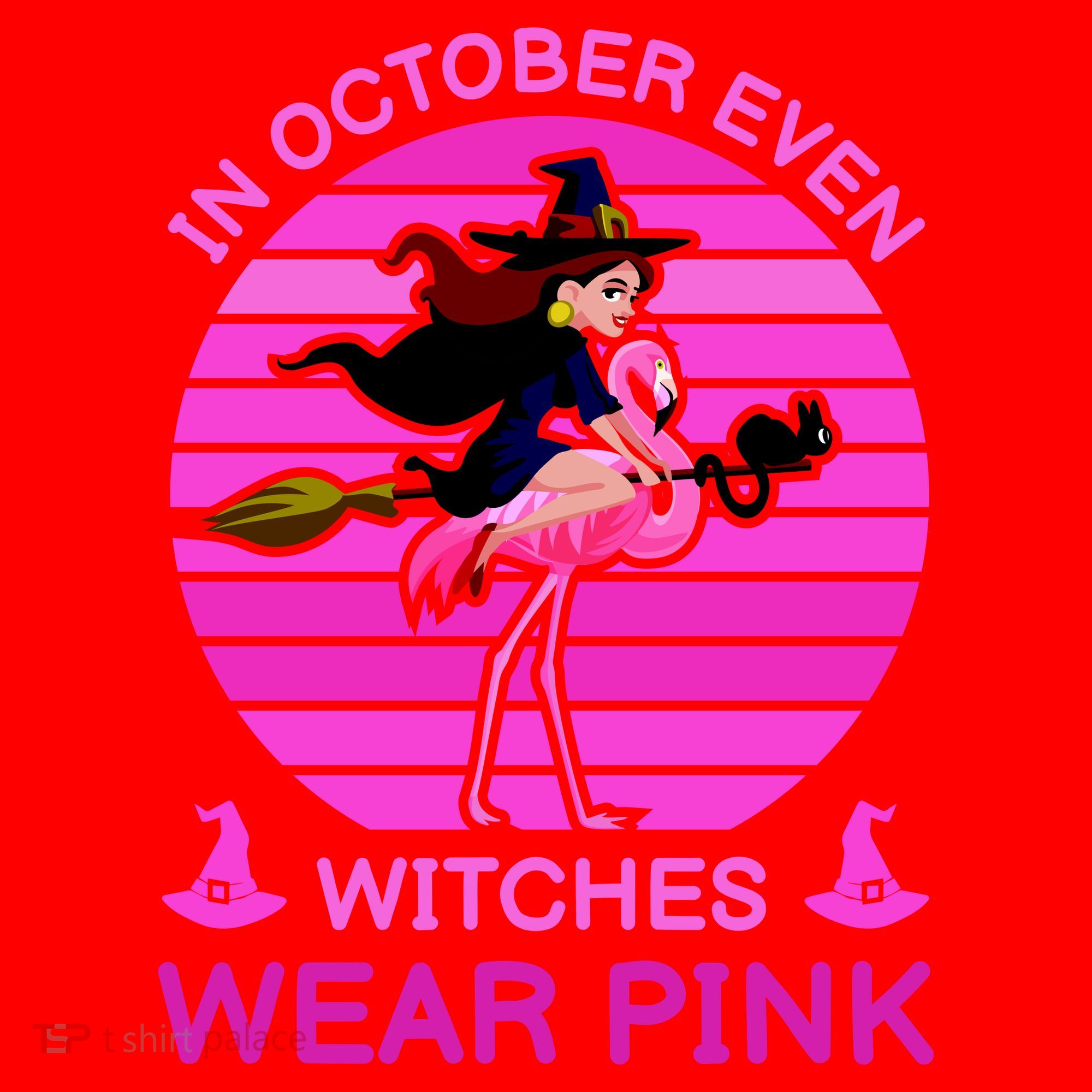 In October Even Witches Wear Pink Santa Hat