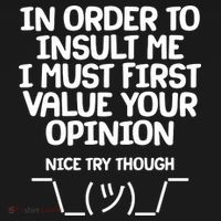 In Order To Insult Me I Must First Value Your Opinion Nice Try Though Apron thumb 3