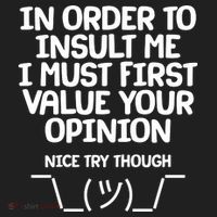 In Order To Insult Me I Must First Value Your Opinion Nice Try Though Beanie thumb 2