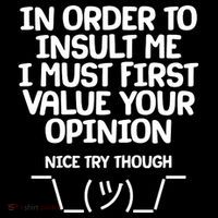 In Order To Insult Me I Must First Value Your Opinion Nice Try Though Women's Hoodie thumb 2
