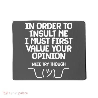 In Order To Insult Me I Must First Value Your Opinion Nice Try Though Mousepad