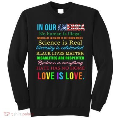 In Our America We Are Equal Sweatshirt