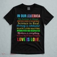 In Our America We Are Equal T-Shirt thumb 5