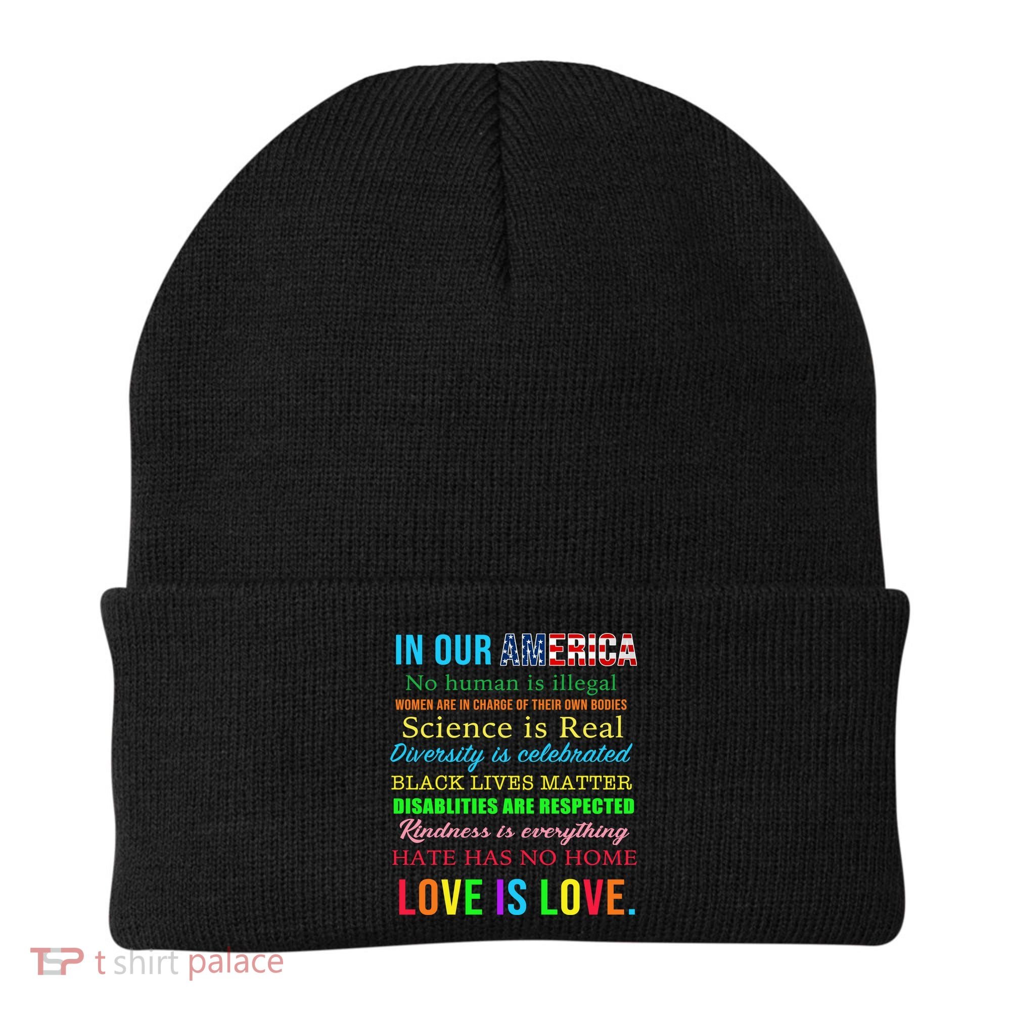 In Our America We Are Equal Beanie