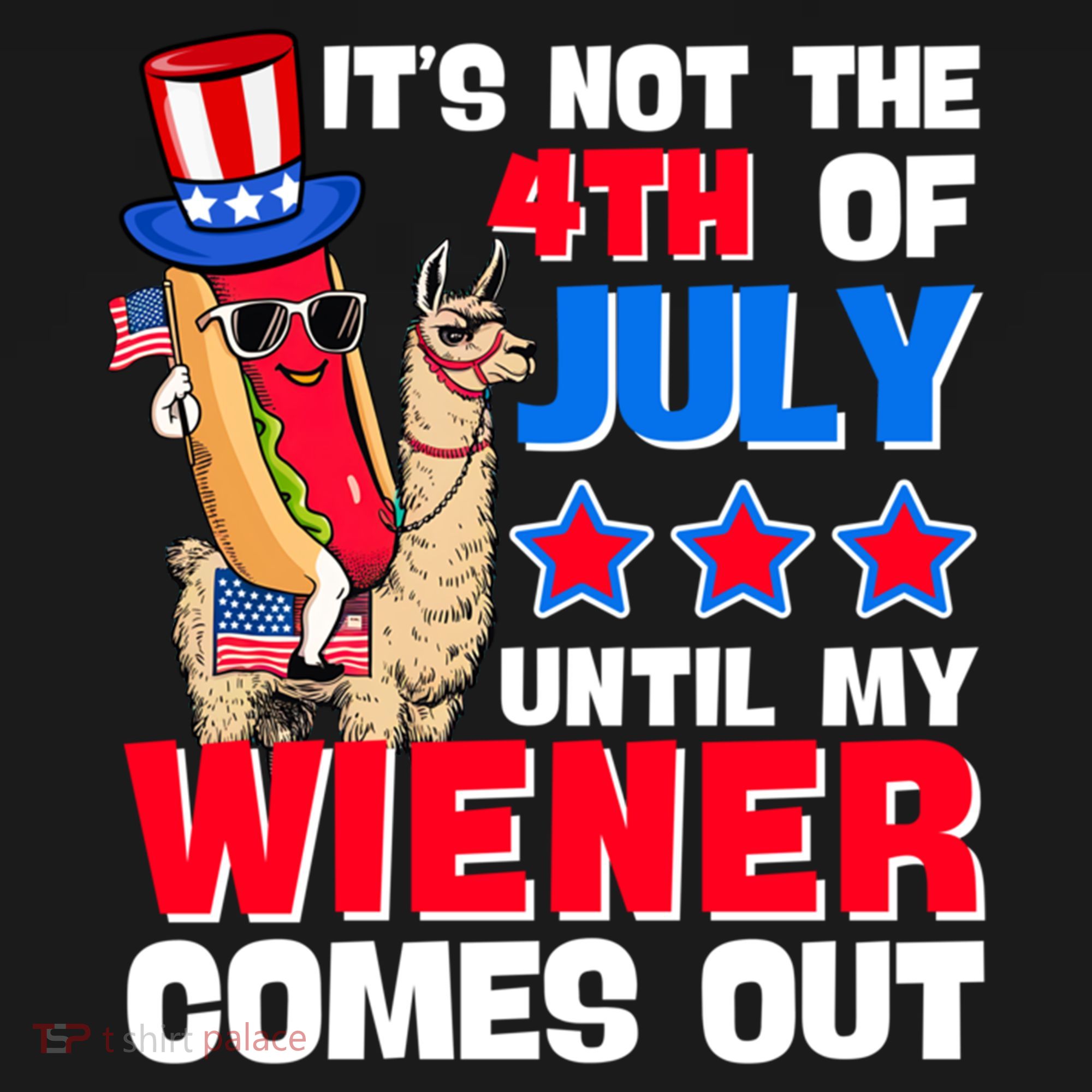 ItS Not 4th Of July Until My Wiener Comes Out Hotdog Llama Gift Women's Hoodie