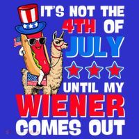 ItS Not 4th Of July Until My Wiener Comes Out Hotdog Llama Gift Sweatshirt thumb 3