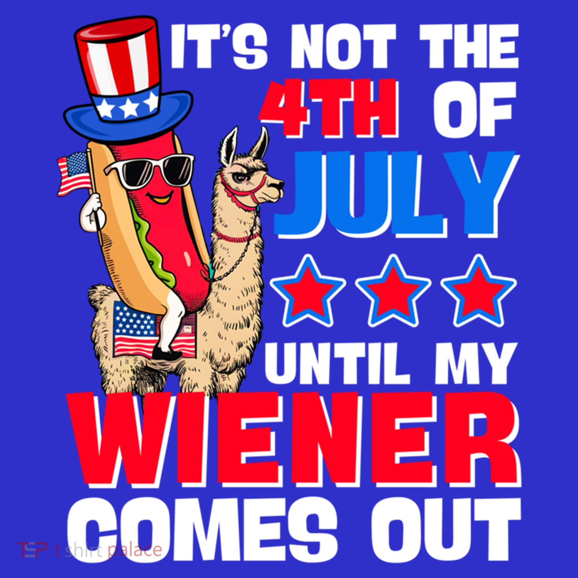 ItS Not 4th Of July Until My Wiener Comes Out Hotdog Llama Gift Women's Tank Top