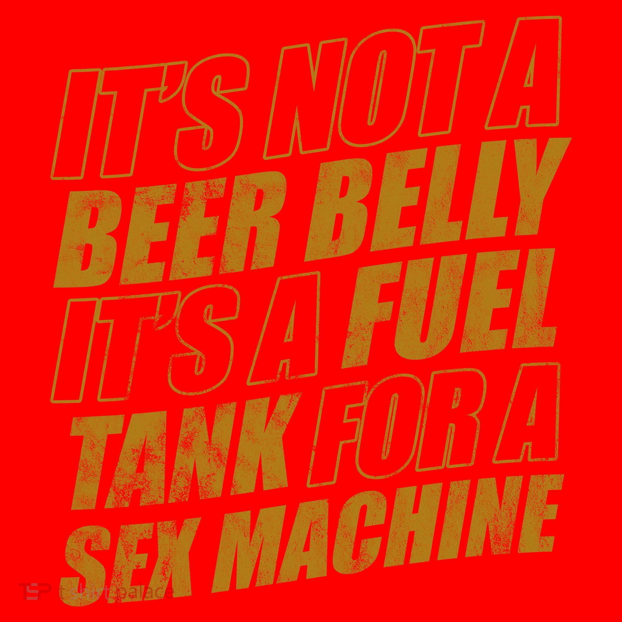 Its Not A Beer Belly Its A Fuel Tank For A Sex Machine Funny Santa Hat
