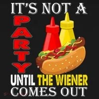 Its Not A Party Until The Wiener Comes Out Ornament thumb 1