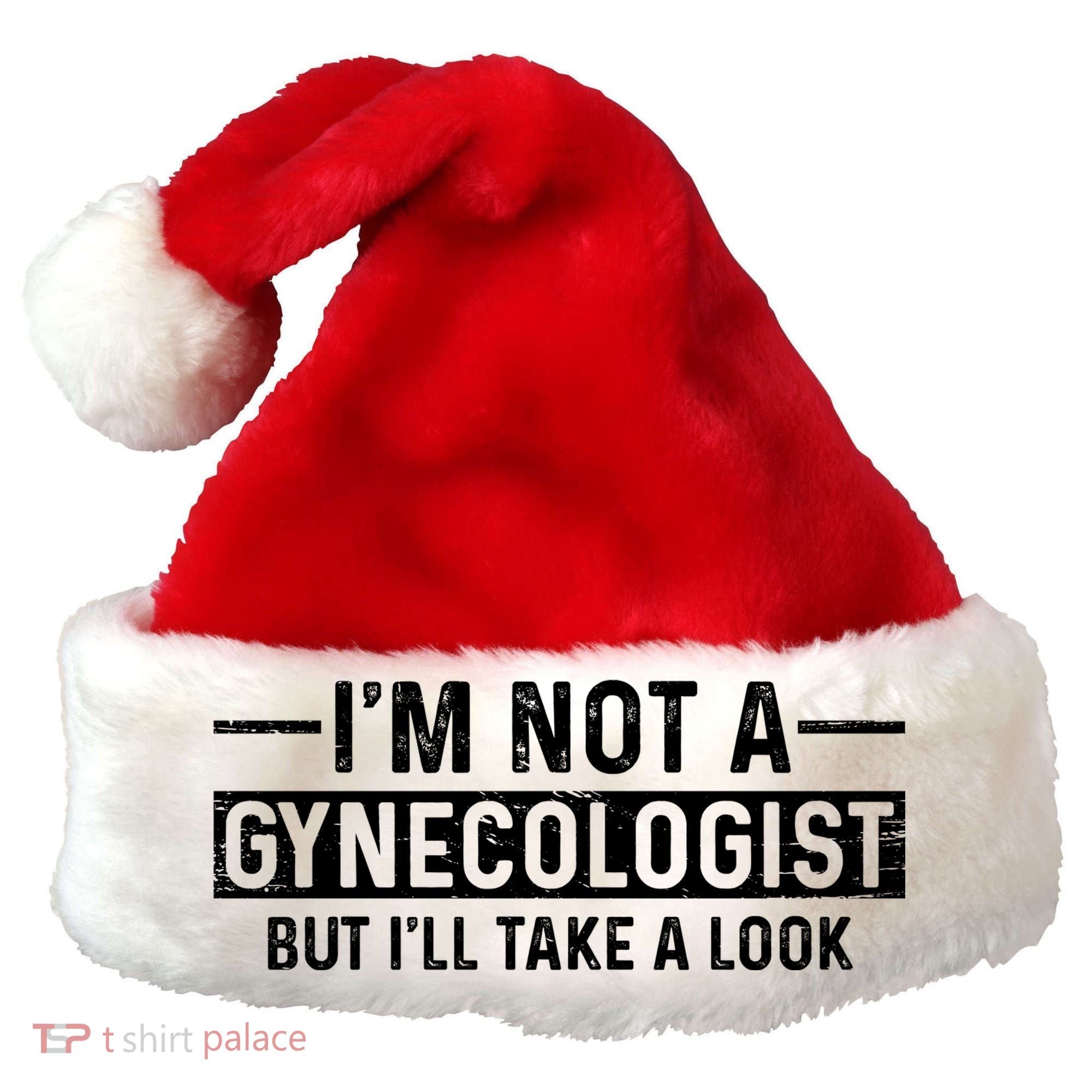 I'm Not A Gynecologist But I'll Take A Look Santa Hat
