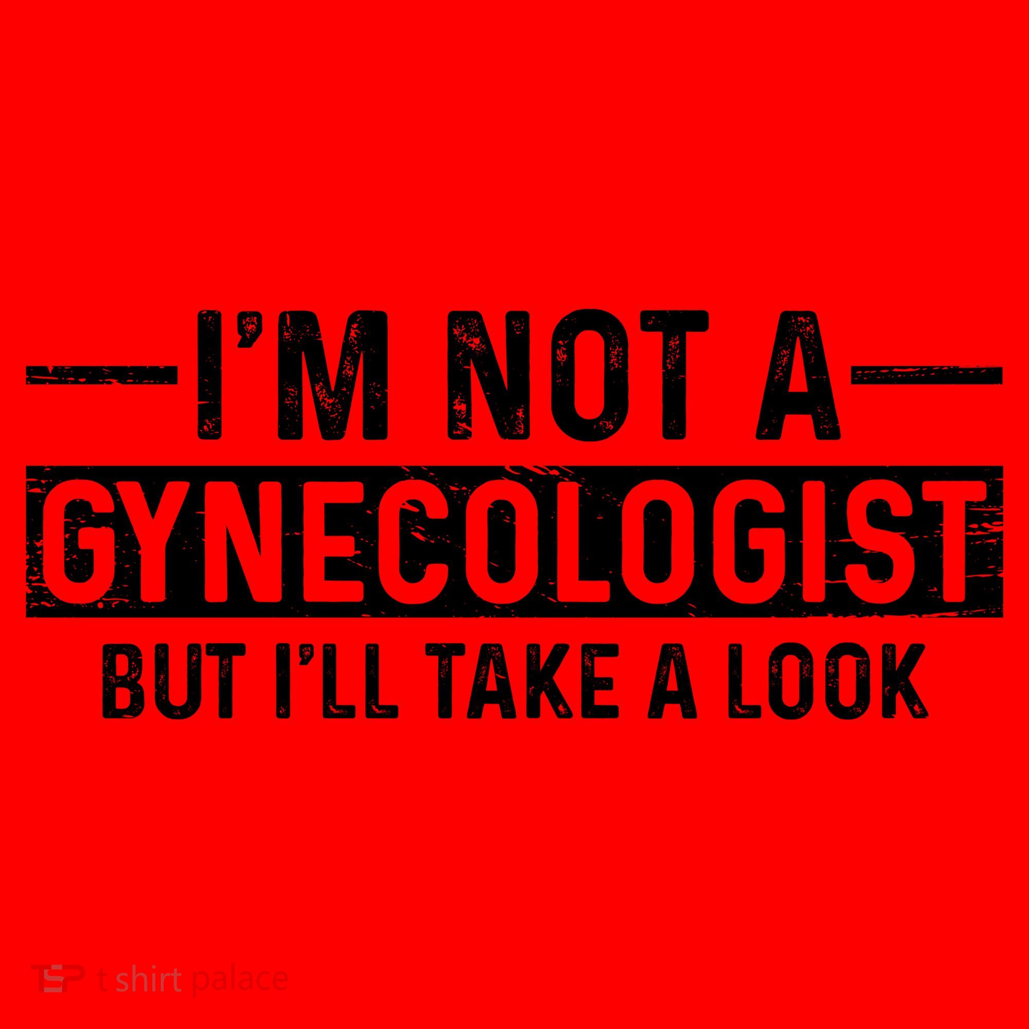 I'm Not A Gynecologist But I'll Take A Look Santa Hat