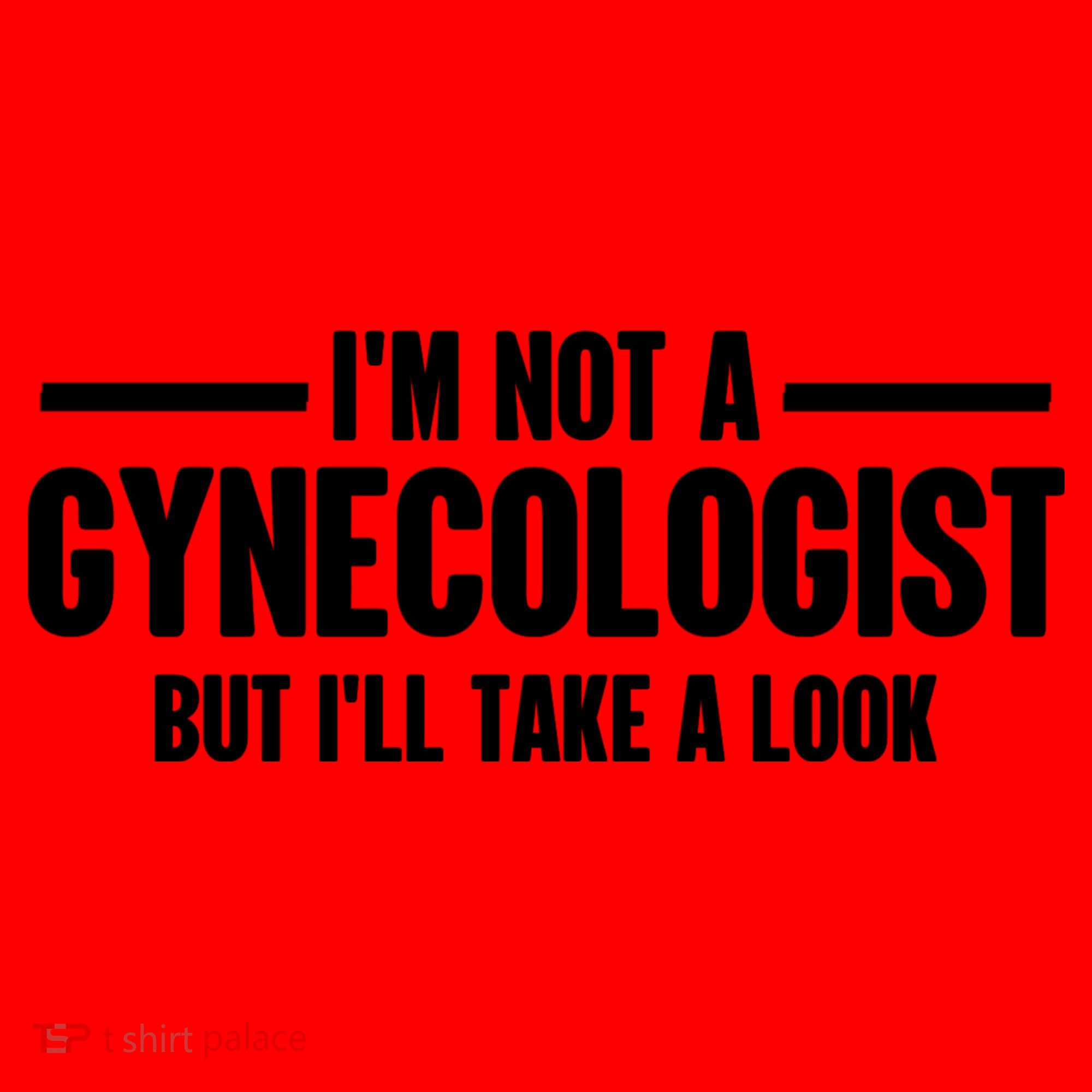 Im Not A Gynecologist But Ill Take A Look Santa Hat