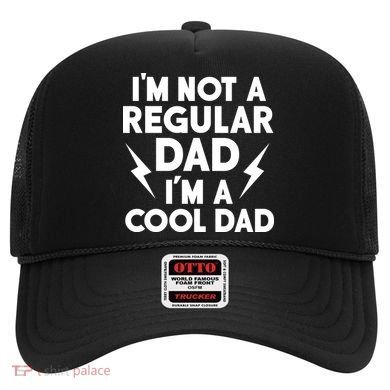 I'm Not A Regular Dad I'm A Cool Dad Hat