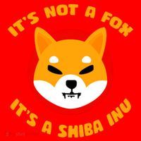 It's Not A Fox It's A Shiba Inu Santa Hat thumb 1