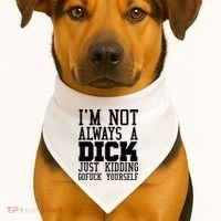 Im Not Always A Dick Just Kidding Gofuck Yourself USA-Made Doggie Bandana thumb 1
