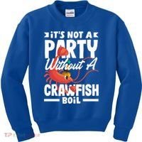 Its Not A Party Without A Crawfish Boil Gift Kids Sweatshirt thumb 0
